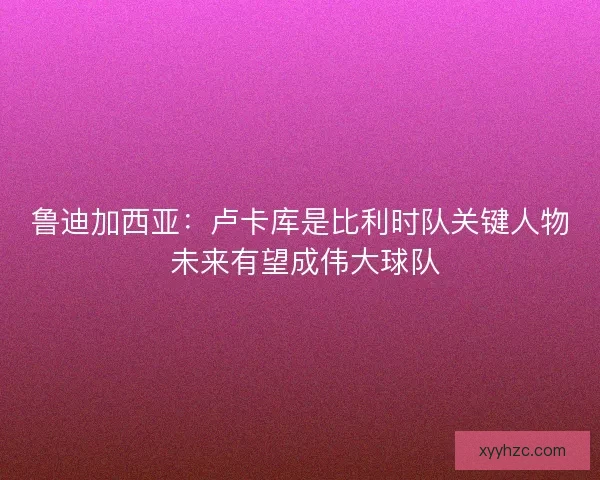 鲁迪加西亚：卢卡库是比利时队关键人物 未来有望成伟大球队
